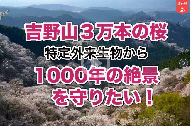 クラウドファンディングの実施について