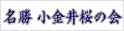 小金井桜の会